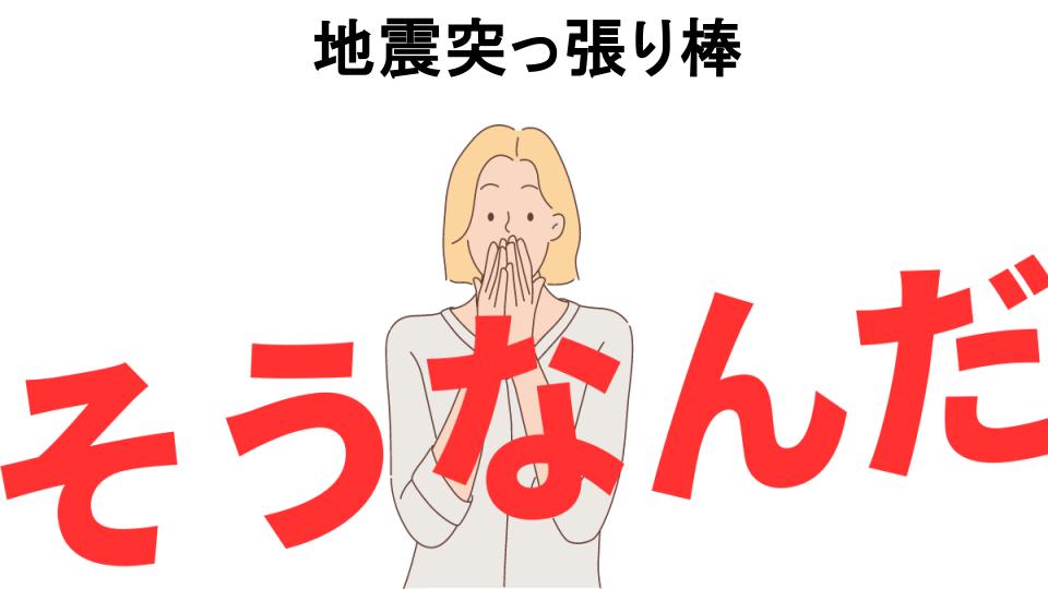 意味ないと思う人におすすめ！地震突っ張り棒の代わり